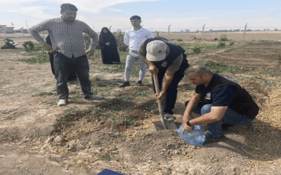 موجز سياسات: إنتاج المحاصيل الحقلية في سهل نينوى